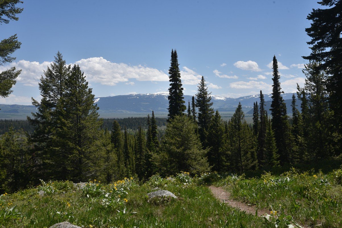 dsc_9938_fs.jpg