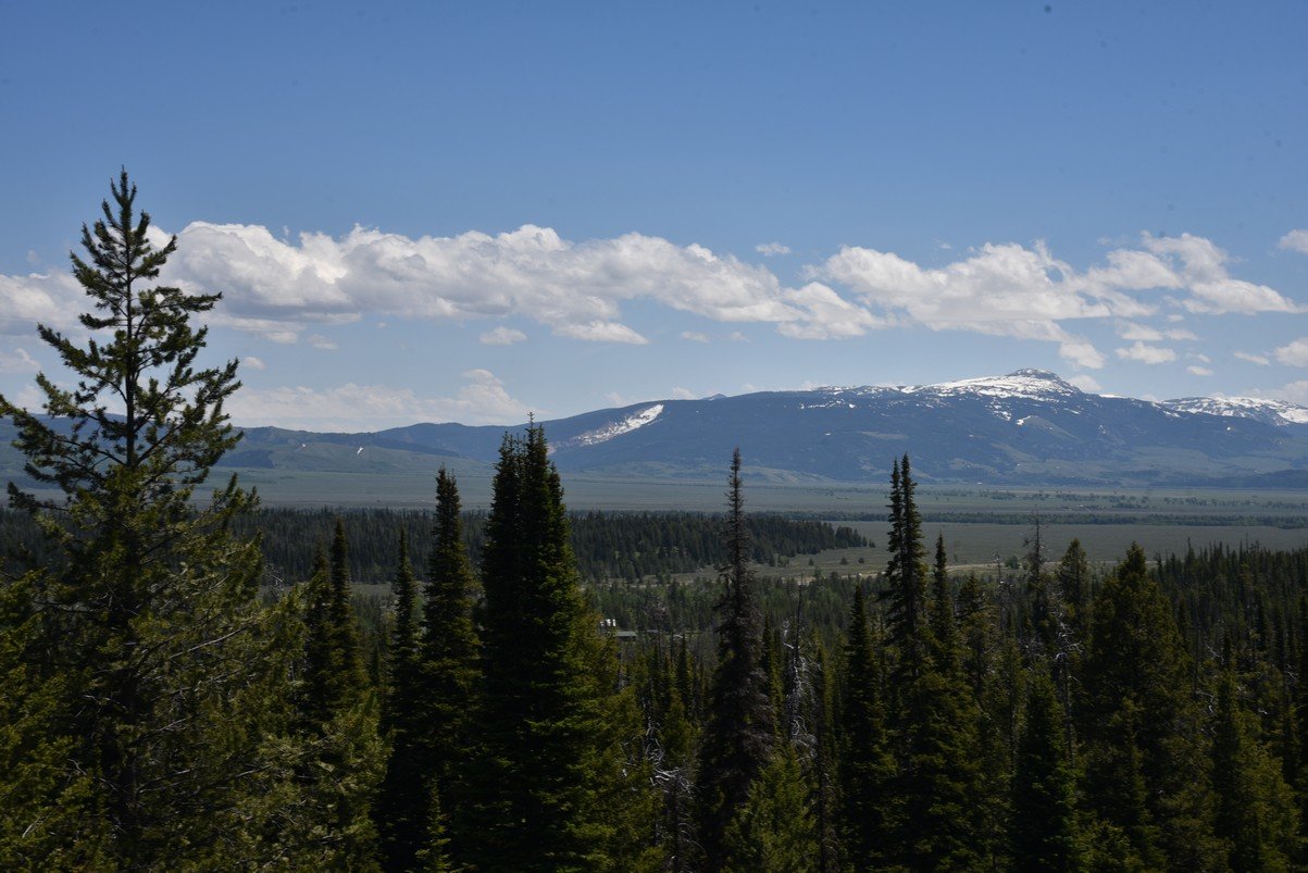 dsc_9940_fs.jpg