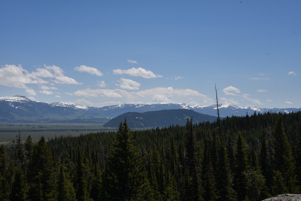 dsc_9941_fs.jpg