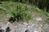 dsc_9944_fs_small.jpg