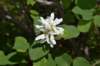 dsc_9945_fs_small.jpg