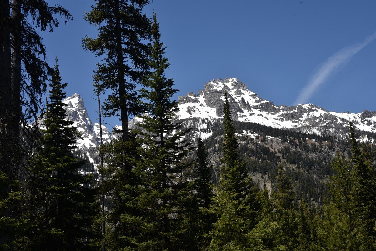 dsc_9946_fs.jpg
