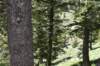 dsc_9947_fs_small.jpg