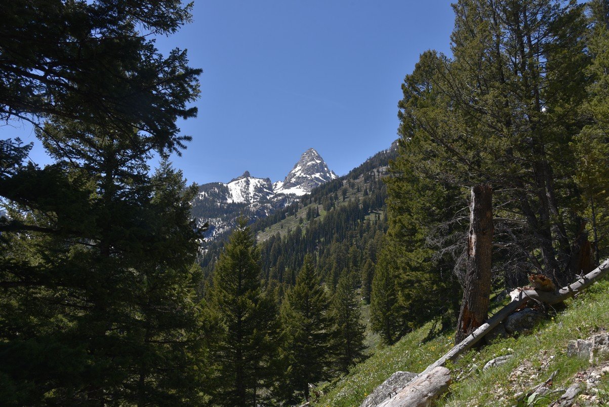 dsc_9948_fs.jpg