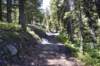 dsc_9950_fs_small.jpg