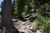 dsc_9951_fs_small.jpg