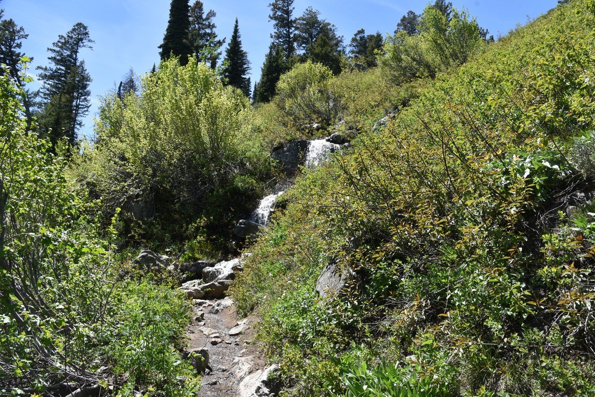 dsc_9952_fs.jpg