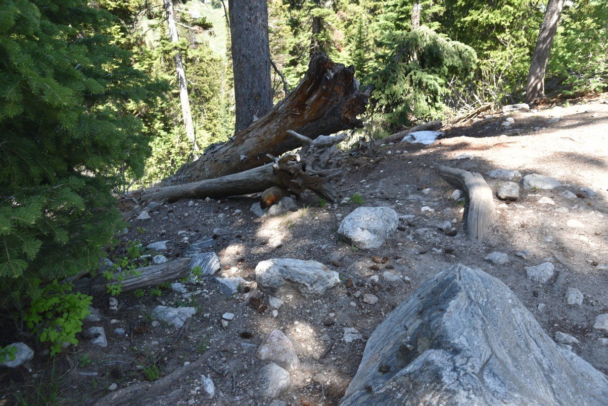 dsc_9953_fs.jpg