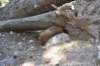 dsc_9954_fs_small.jpg