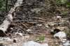 dsc_9956_fs_small.jpg