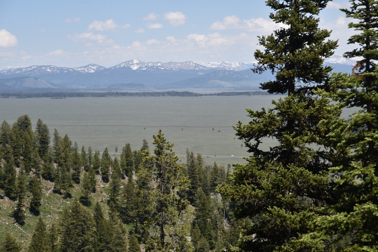 dsc_9958_fs.jpg