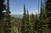 dsc_9959_fs_small.jpg