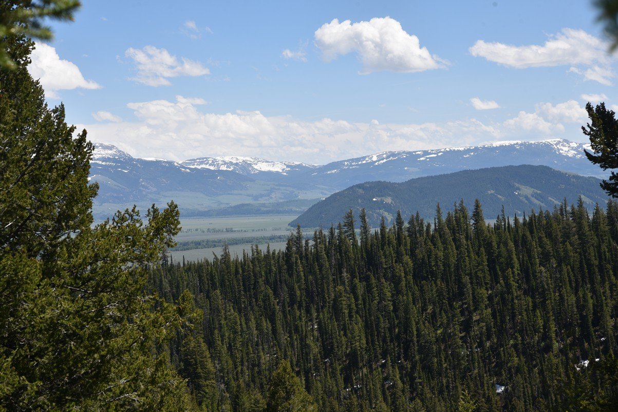 dsc_9964_fs.jpg