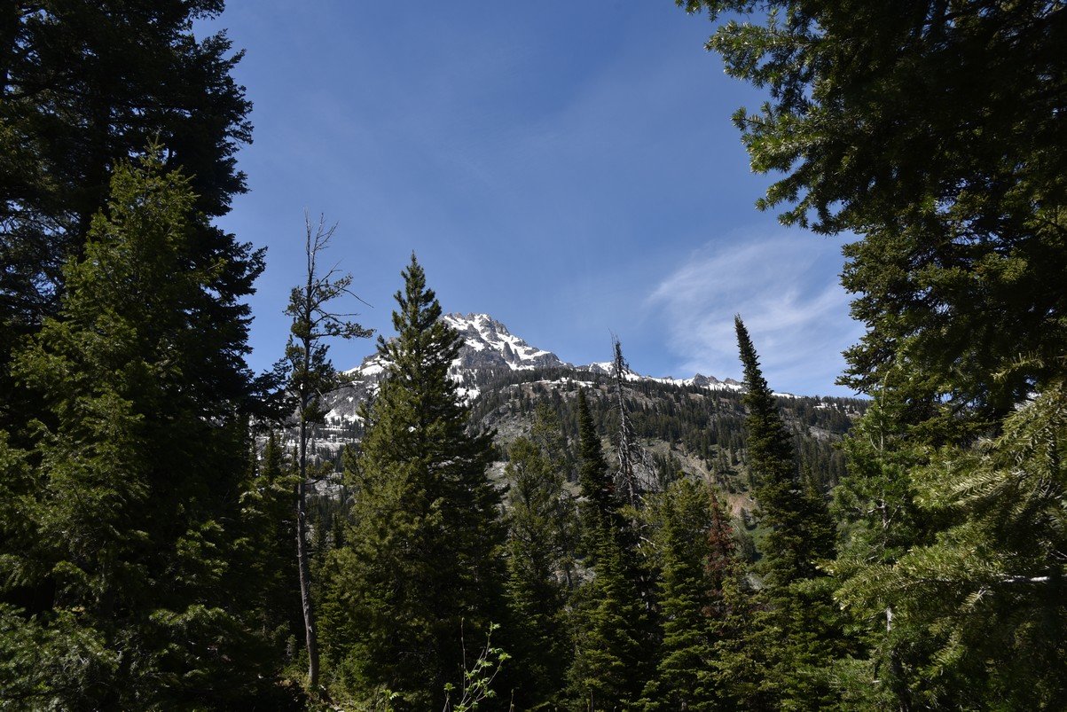 dsc_9965_fs.jpg