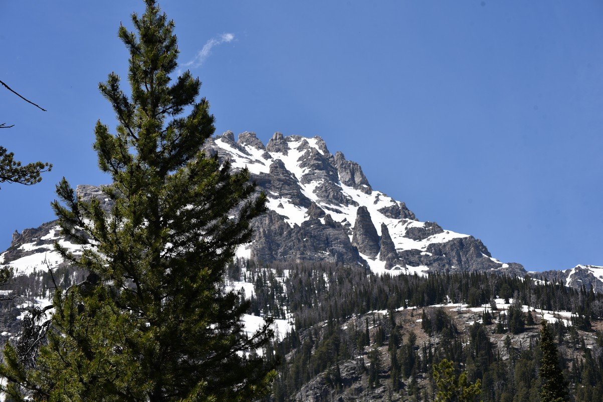 dsc_9967_fs.jpg