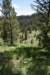 dsc_9971_fs_small.jpg