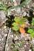 dsc_9973_fs_small.jpg