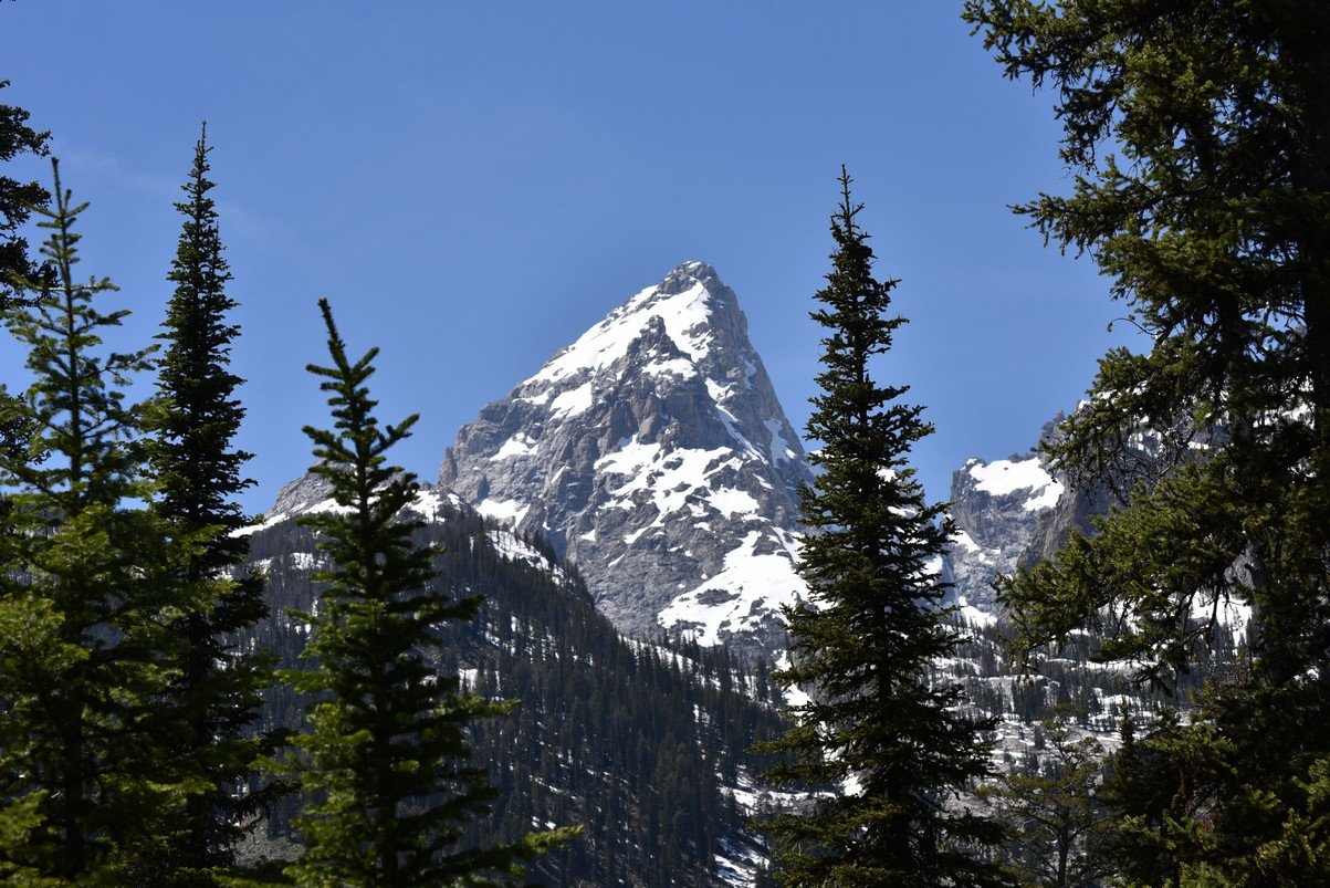 dsc_9978_fs.jpg