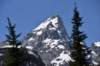 dsc_9980_fs_small.jpg