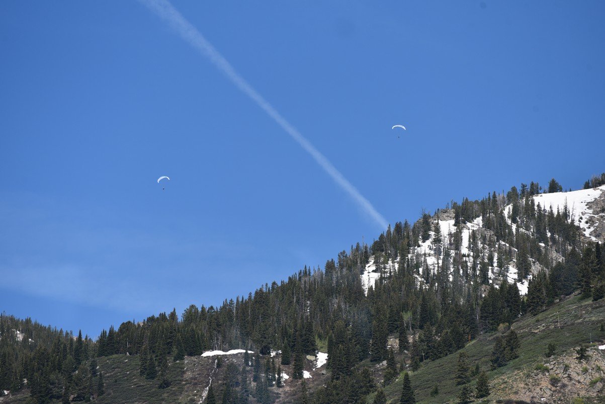 dsc_0288_fs.jpg