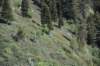 dsc_0293_fs_small.jpg