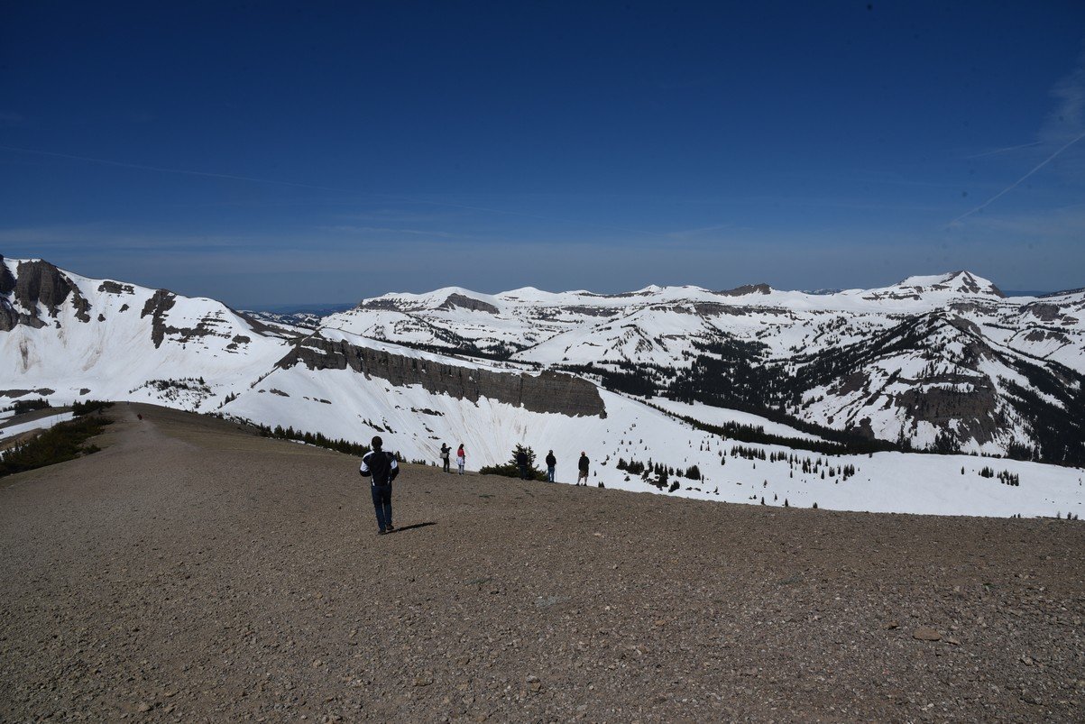 dsc_0401_fs.jpg