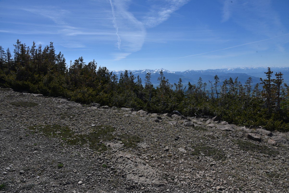 dsc_0409_fs.jpg
