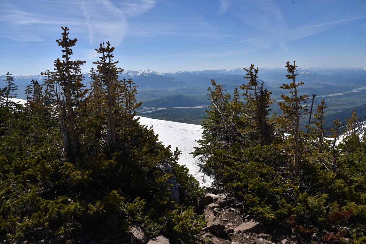 dsc_0413_fs.jpg