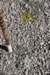 dsc_0456_fs_small.jpg