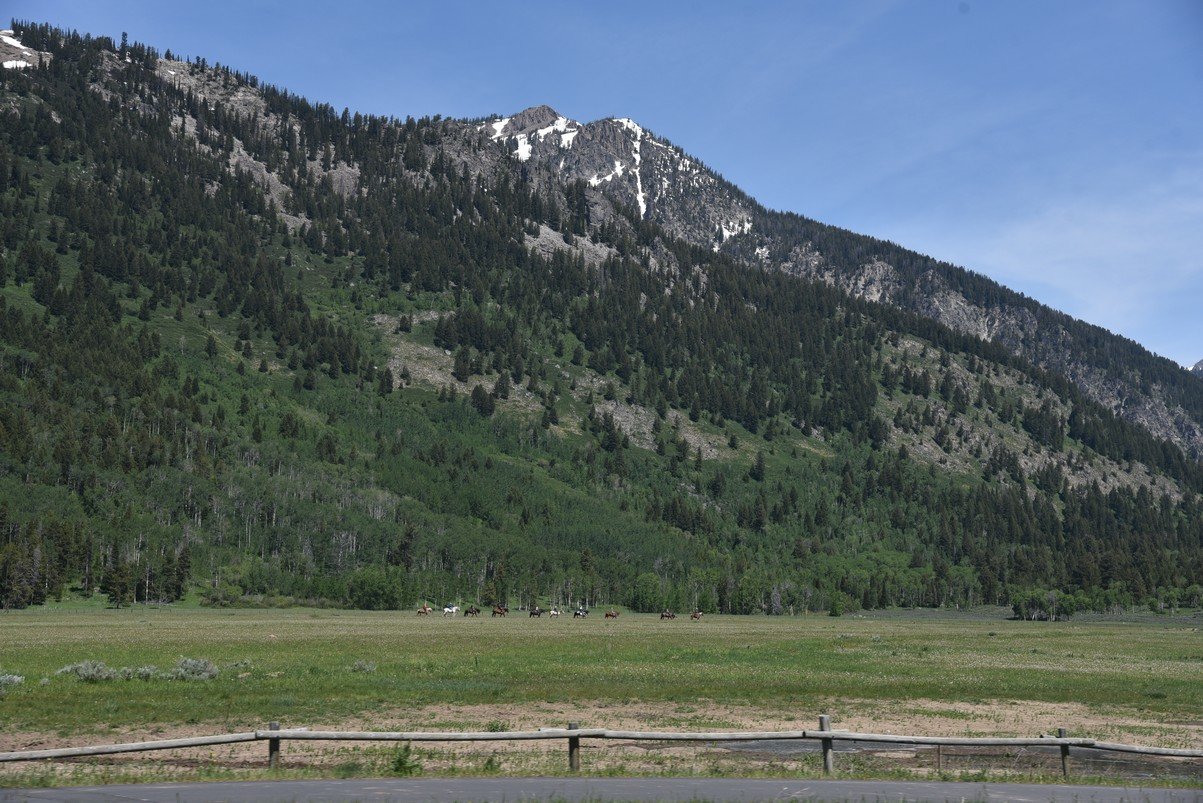dsc_0466_fs.jpg