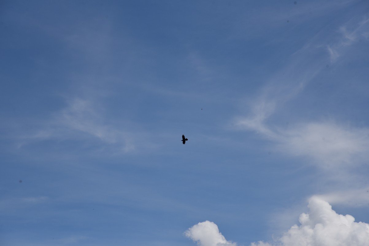 dsc_0487_fs.jpg