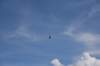 dsc_0487_fs_small.jpg