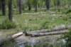 dsc_0490_fs_small.jpg