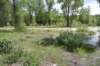 dsc_0492_fs_small.jpg
