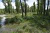 dsc_0494_fs_small.jpg