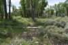 dsc_0496_fs_small.jpg