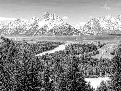 _133123_fs_bw3.jpg