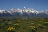 dsc_0540_fs_small.jpg