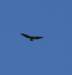dsc_0542_fs_small.jpg