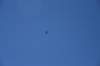 dsc_0543_fs_small.jpg