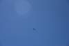 dsc_0544_fs_small.jpg