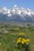 dsc_0547_fs_small.jpg