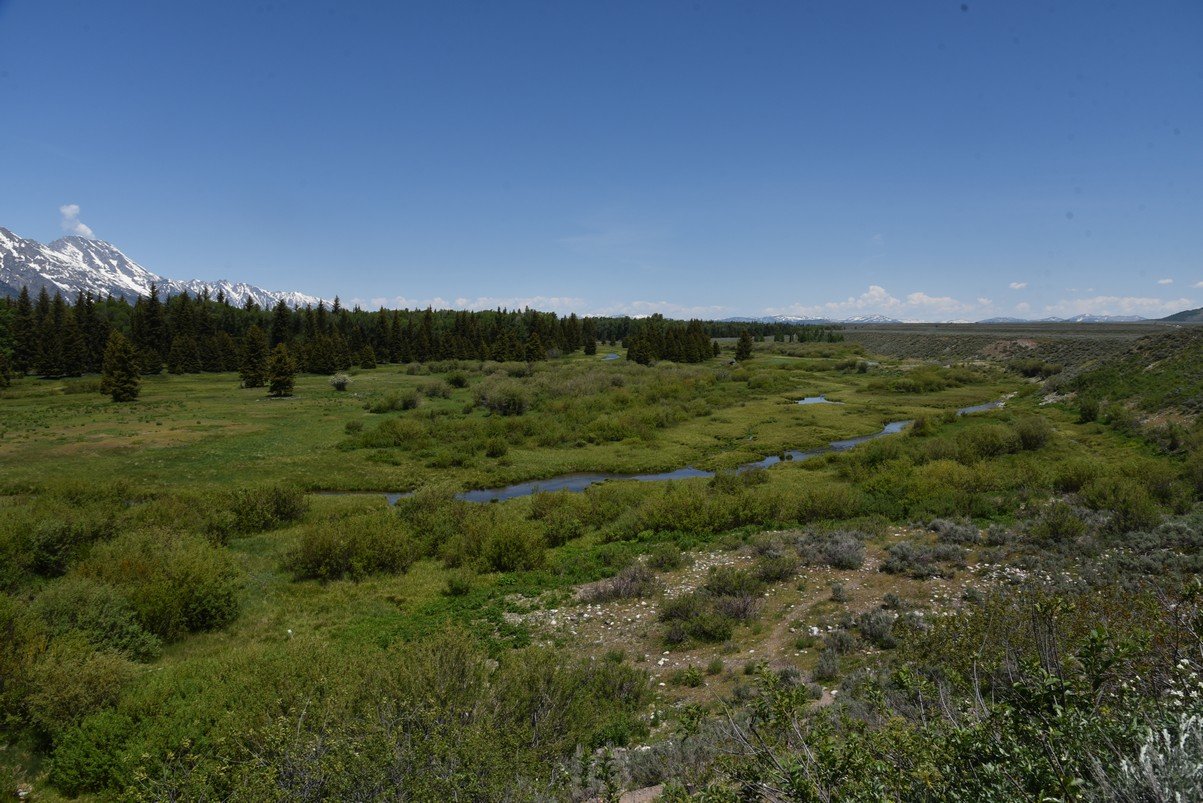dsc_0581_fs.jpg