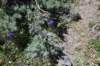 dsc_0585_fs_small.jpg