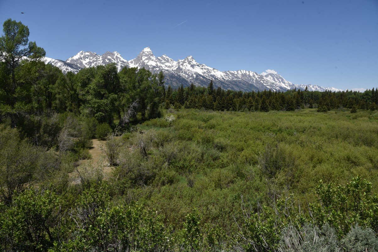 dsc_0595_fs.jpg
