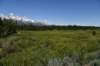 dsc_0596_fs_small.jpg