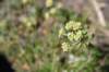 dsc_0601_fs_small.jpg
