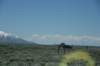 dsc_0612_fs_small.jpg