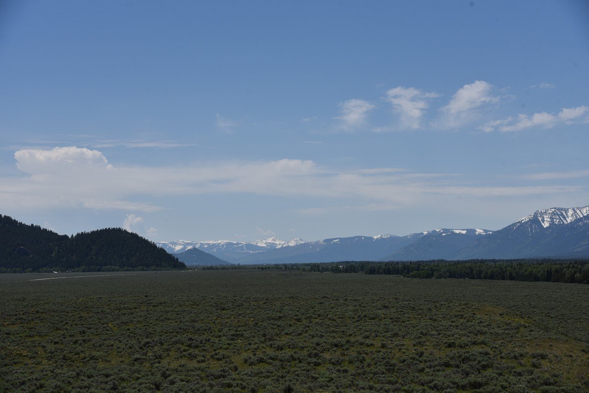 dsc_0613_fs.jpg