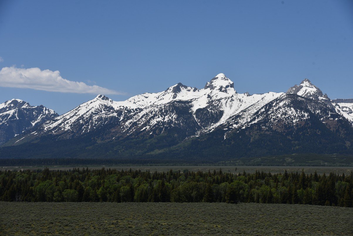 dsc_0616_fs.jpg